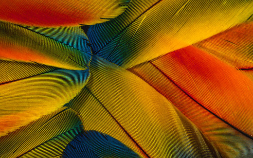 474669 (a): :1920x1200